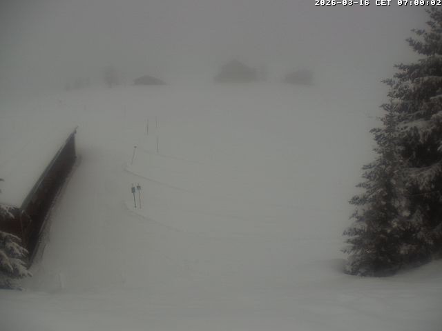 Archiv Foto Webcam Golfhaus in Arosa