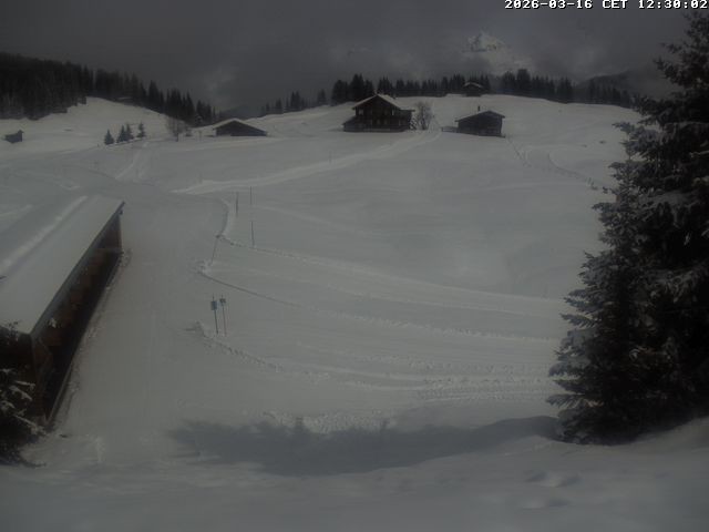 Archiv Foto Webcam Golfhaus in Arosa
