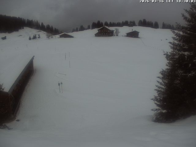 Archiv Foto Webcam Golfhaus in Arosa