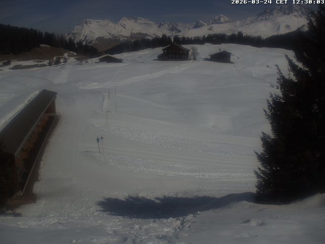 Archiv Foto Webcam Golfhaus in Arosa