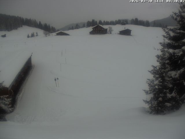 Archiv Foto Webcam Golfhaus in Arosa