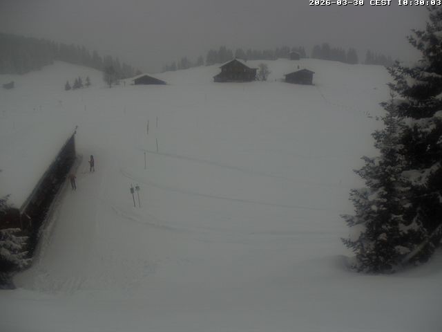 Archiv Foto Webcam Golfhaus in Arosa