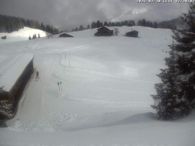 Archiv Foto Webcam Golfhaus in Arosa