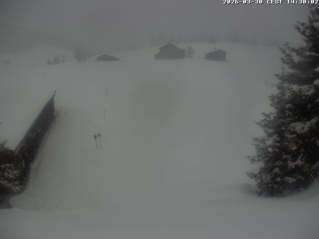 Archiv Foto Webcam Golfhaus in Arosa