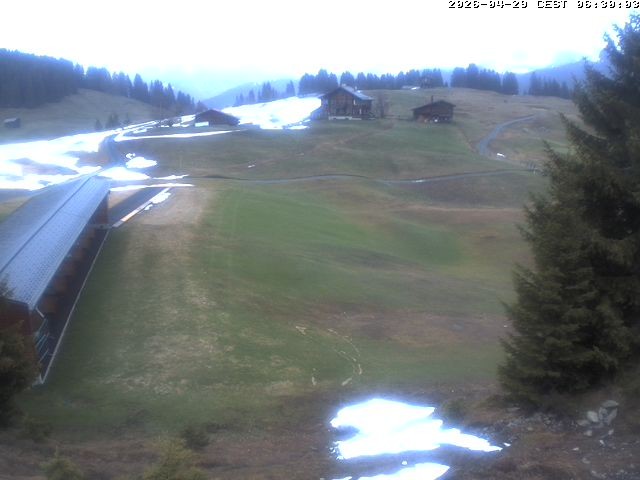 Archiv Foto Webcam Golfhaus in Arosa