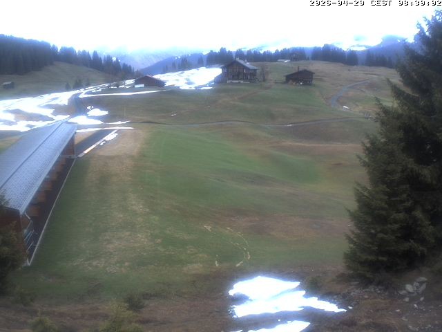 Archiv Foto Webcam Golfhaus in Arosa