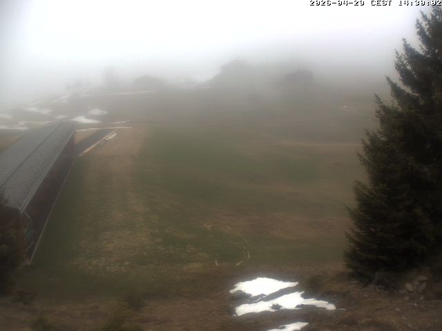 Archiv Foto Webcam Golfhaus in Arosa