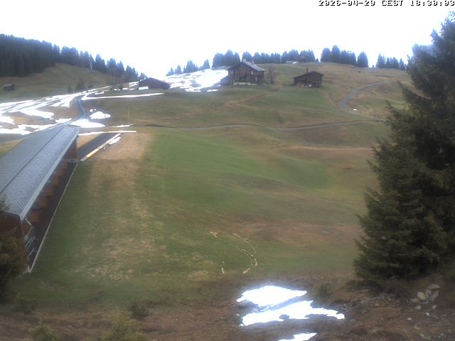 Archiv Foto Webcam Golfhaus in Arosa