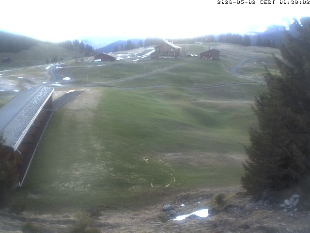 Archiv Foto Webcam Golfhaus in Arosa