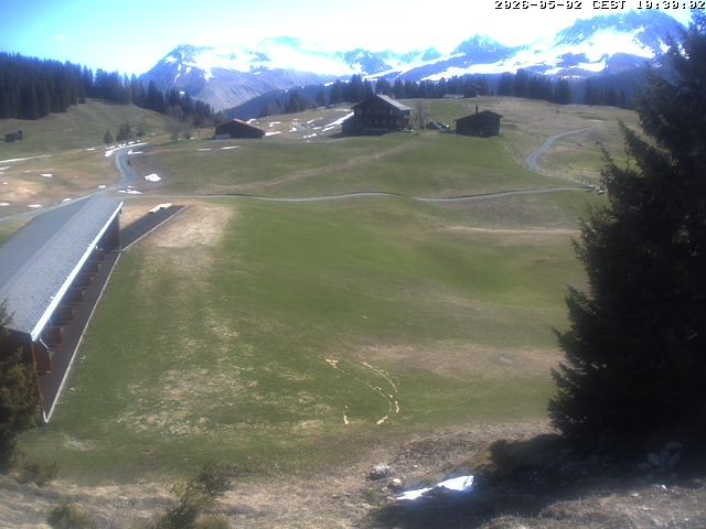 Archiv Foto Webcam Golfhaus in Arosa