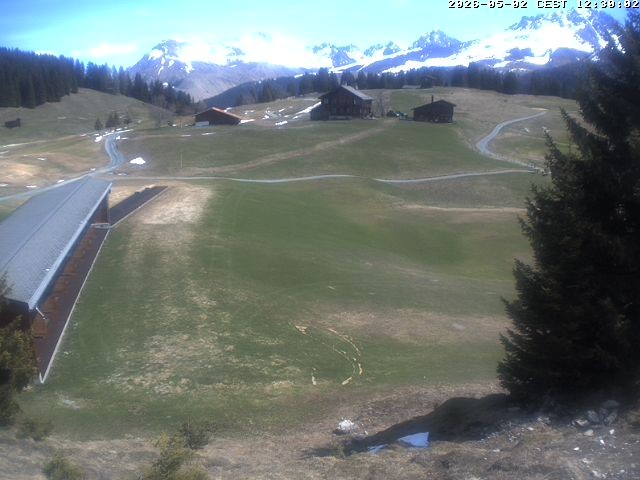 Archiv Foto Webcam Golfhaus in Arosa
