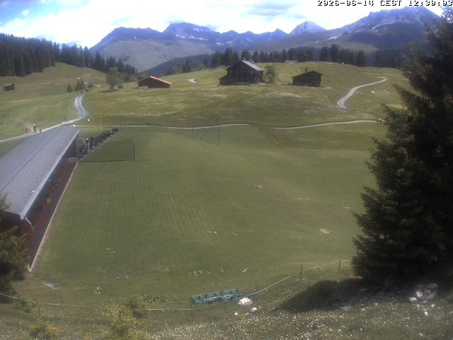 Archiv Foto Webcam Golfhaus in Arosa