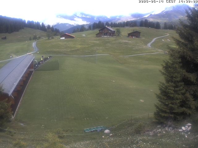 Archiv Foto Webcam Golfhaus in Arosa