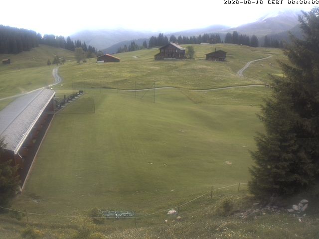 Archiv Foto Webcam Golfhaus in Arosa