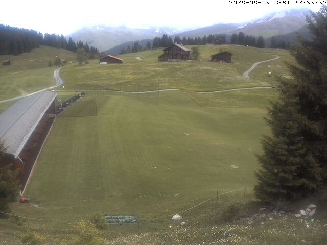 Archiv Foto Webcam Golfhaus in Arosa