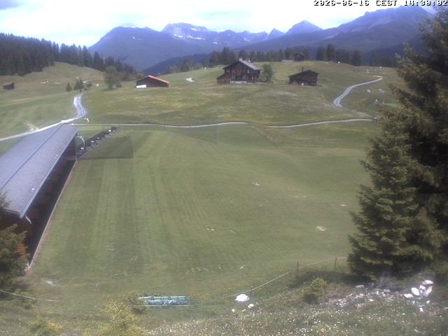 Archiv Foto Webcam Golfhaus in Arosa