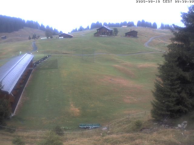 Archiv Foto Webcam Golfhaus in Arosa