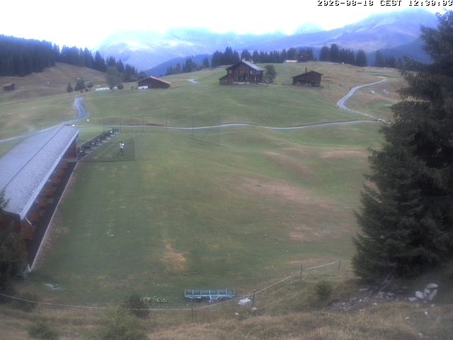 Archiv Foto Webcam Golfhaus in Arosa