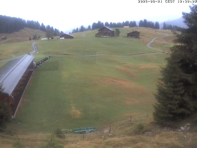 Archiv Foto Webcam Golfhaus in Arosa