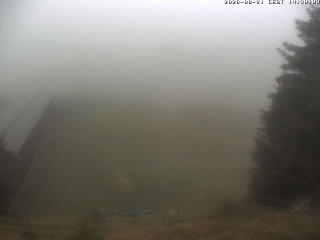 Archiv Foto Webcam Golfhaus in Arosa