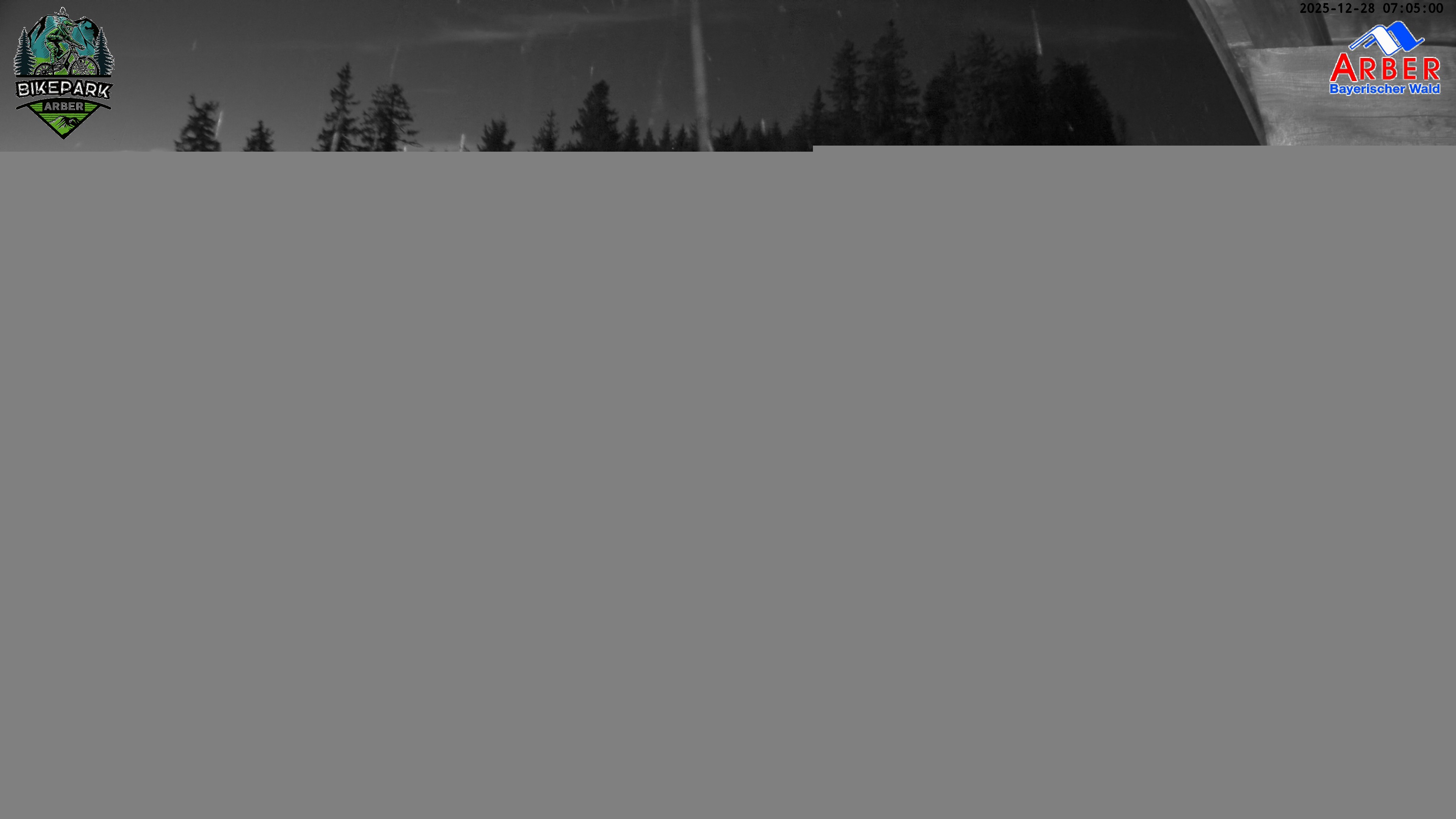 Archiv Foto Webcam ArBär Kinderland des Skigebiets am Arber