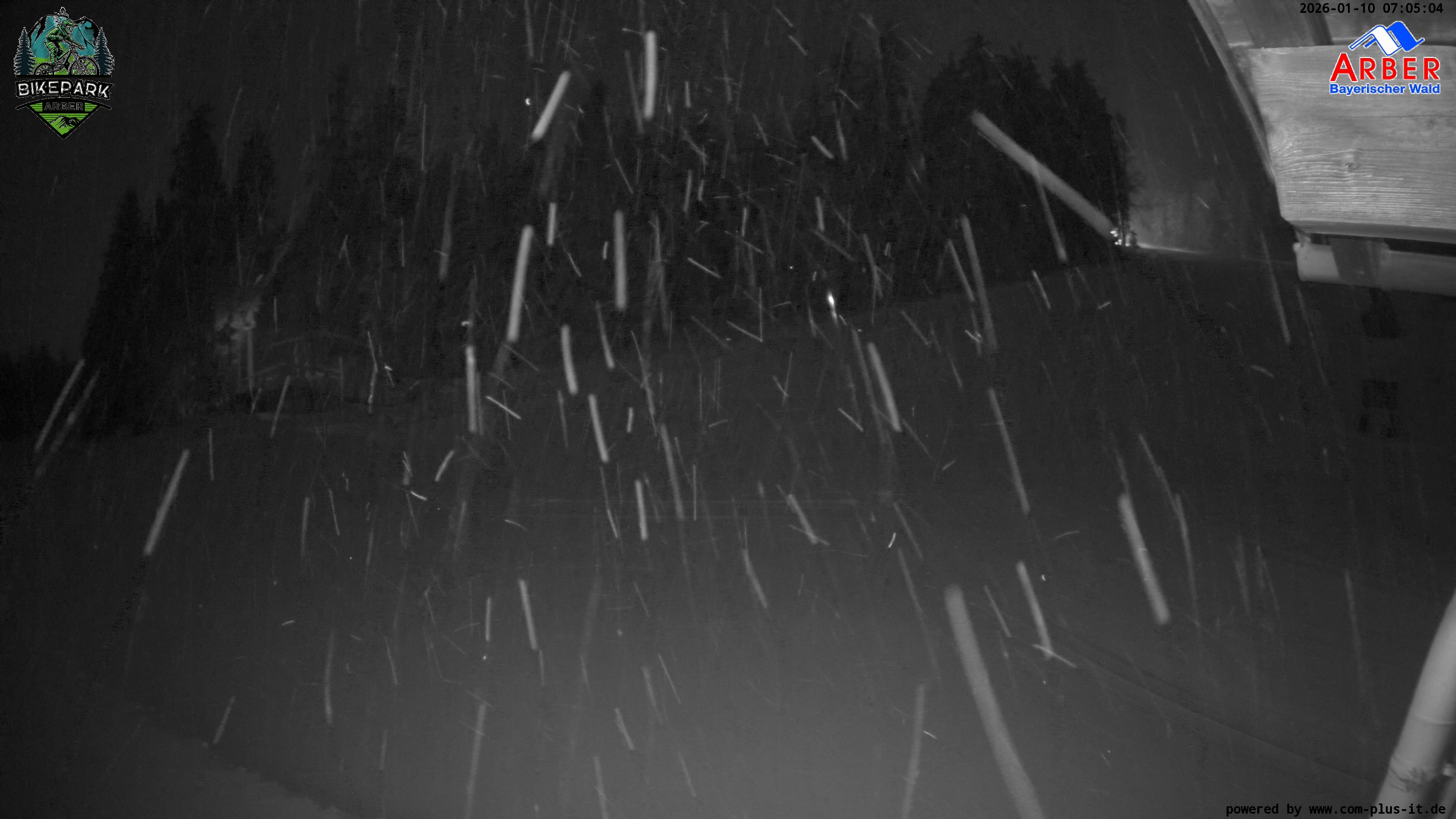 Archiv Foto Webcam ArBär Kinderland des Skigebiets am Arber