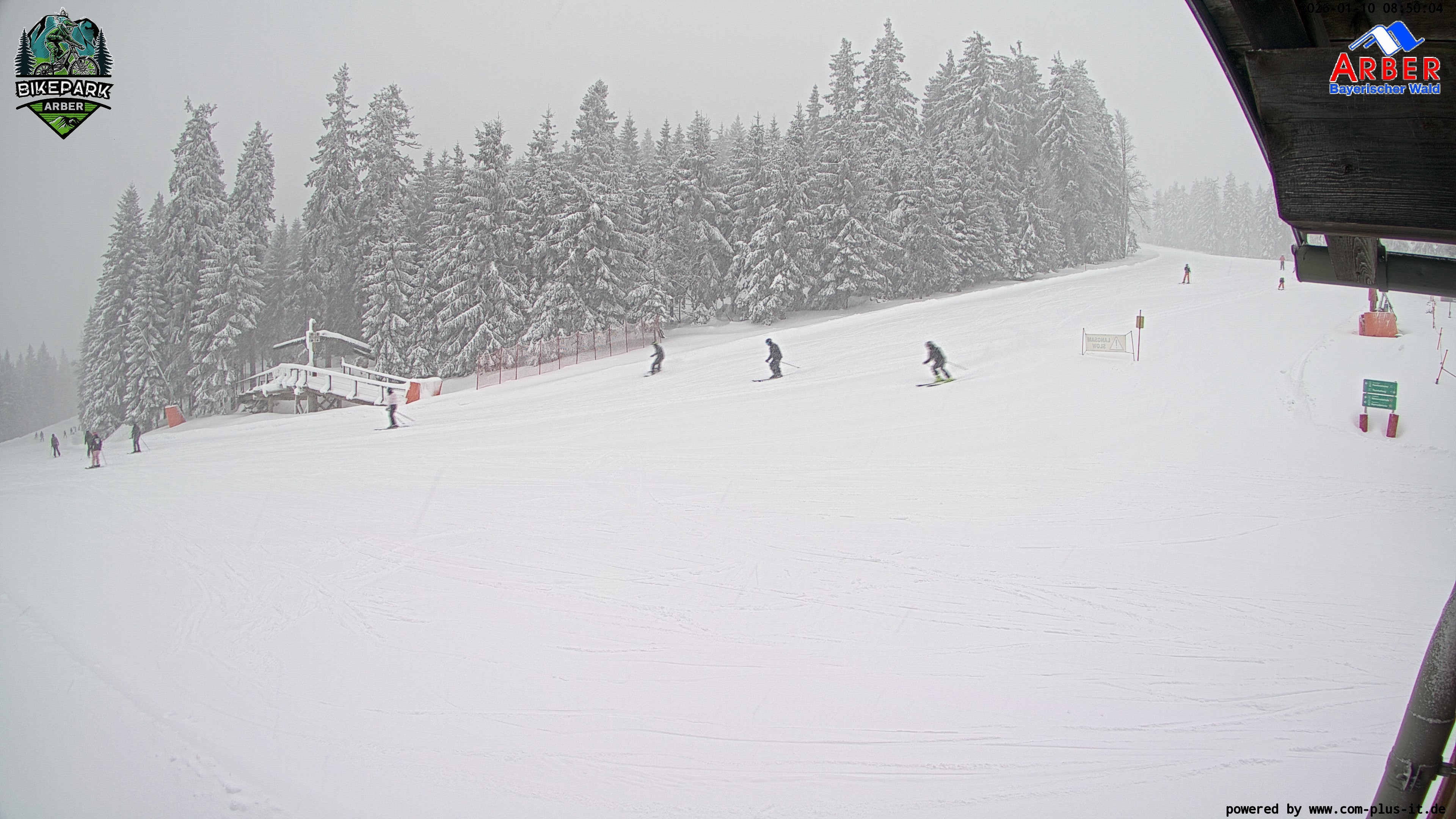Archiv Foto Webcam ArBär Kinderland des Skigebiets am Arber
