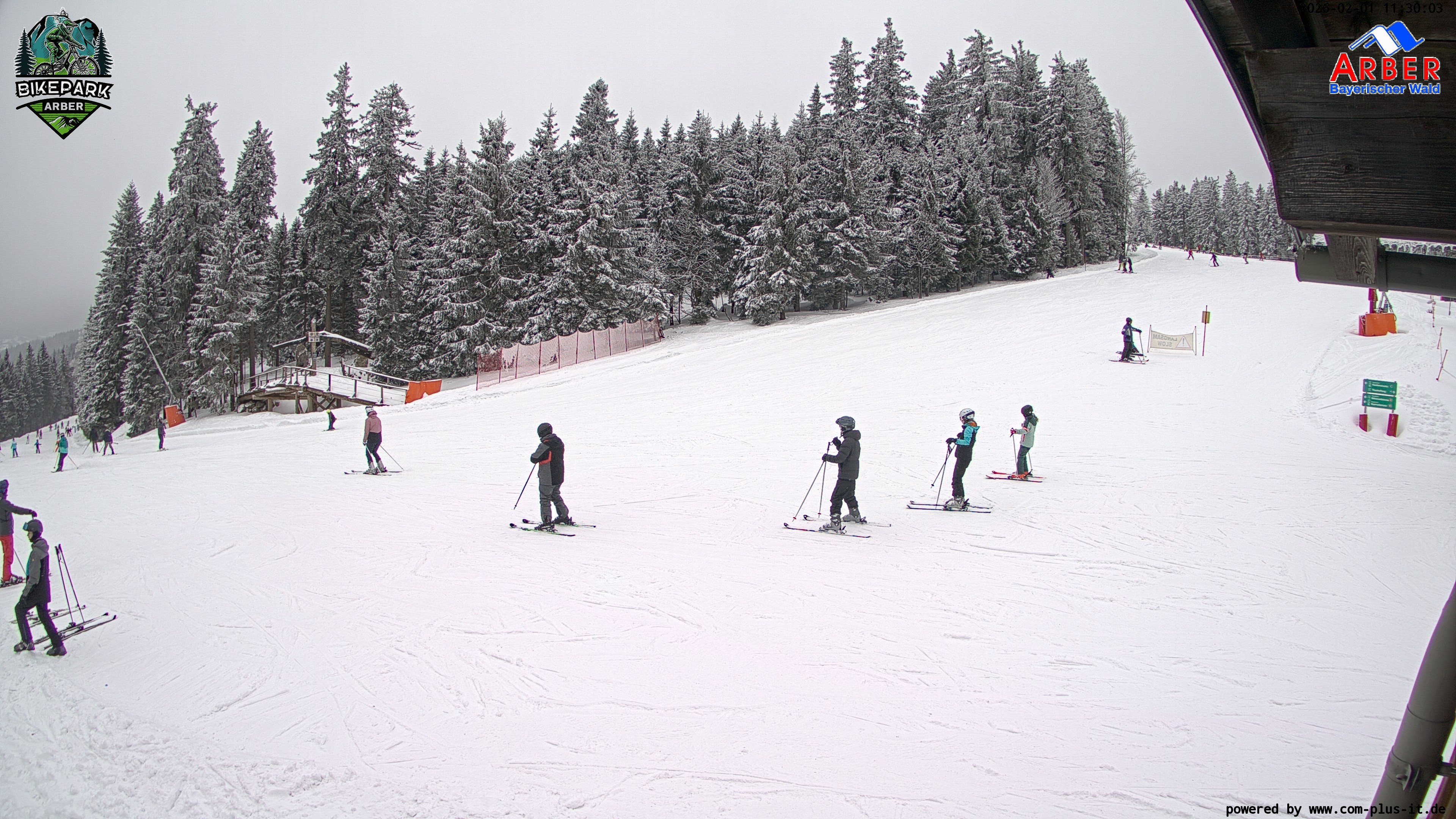 Archiv Foto Webcam ArBär Kinderland des Skigebiets am Arber