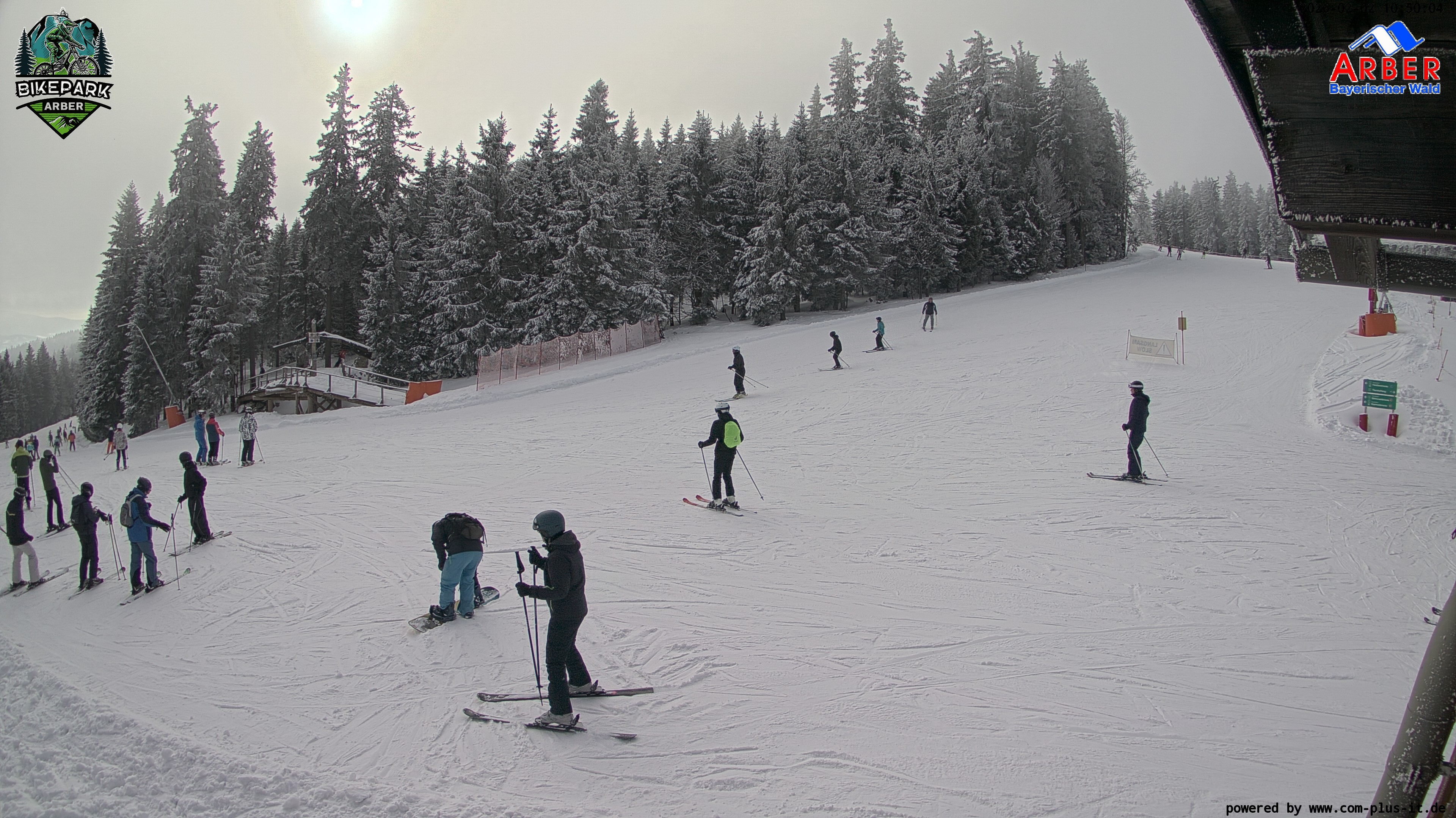 Archiv Foto Webcam ArBär Kinderland des Skigebiets am Arber