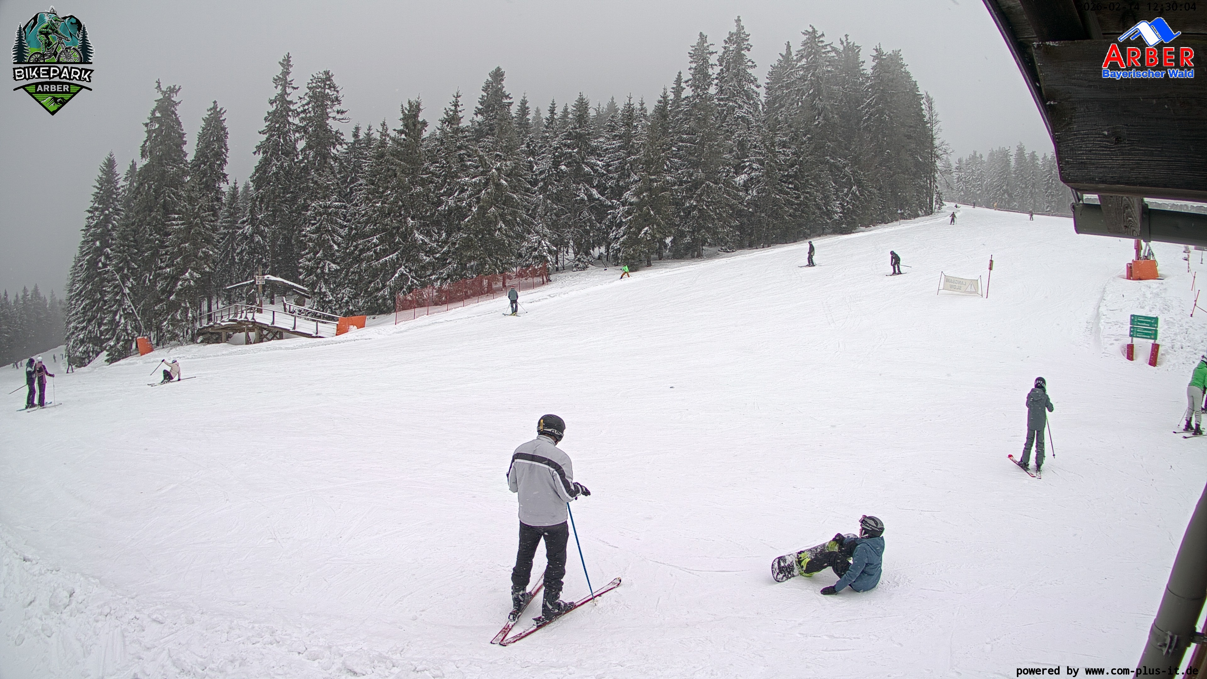 Archiv Foto Webcam ArBär Kinderland des Skigebiets am Arber