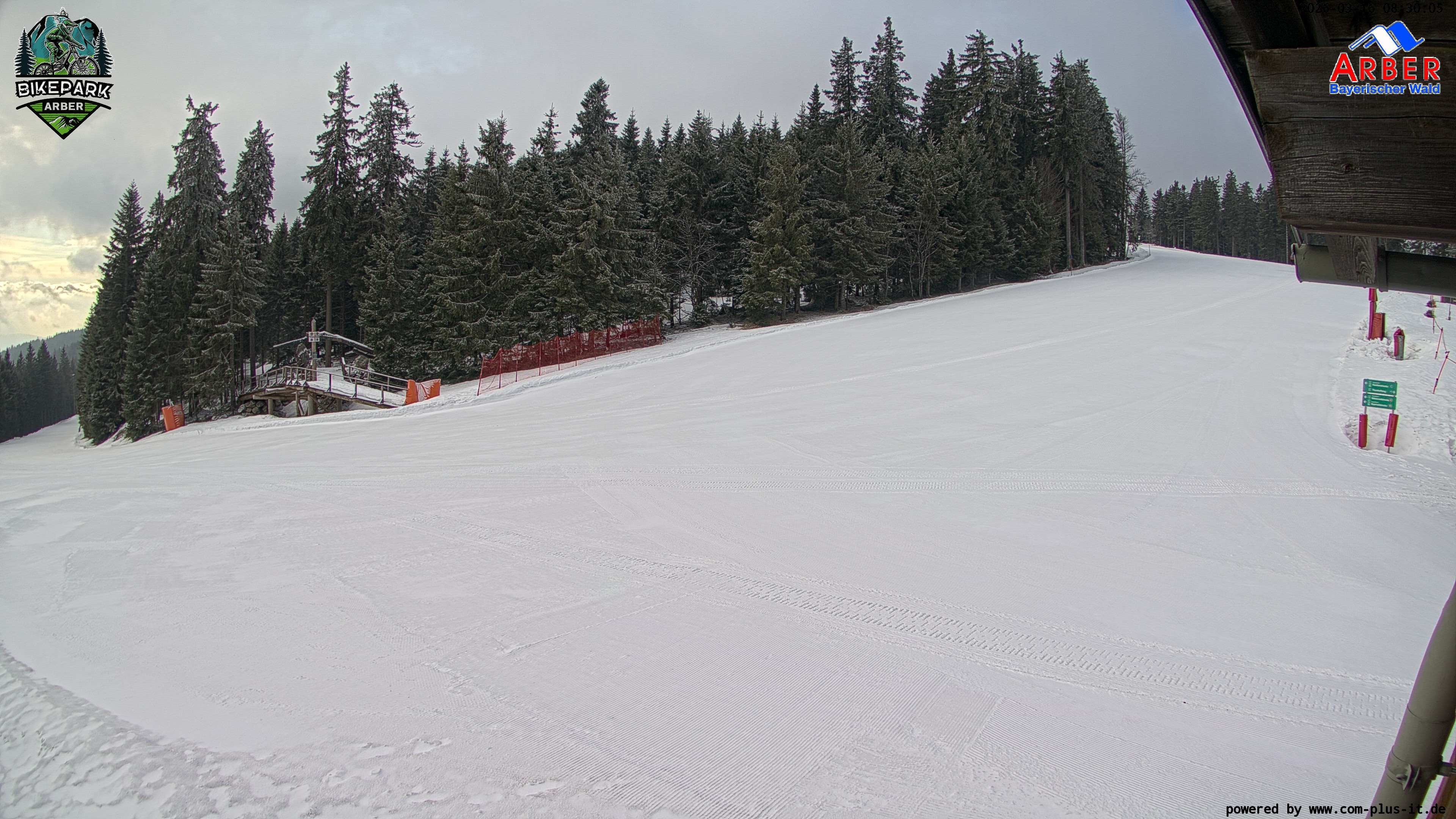 Archiv Foto Webcam ArBär Kinderland des Skigebiets am Arber