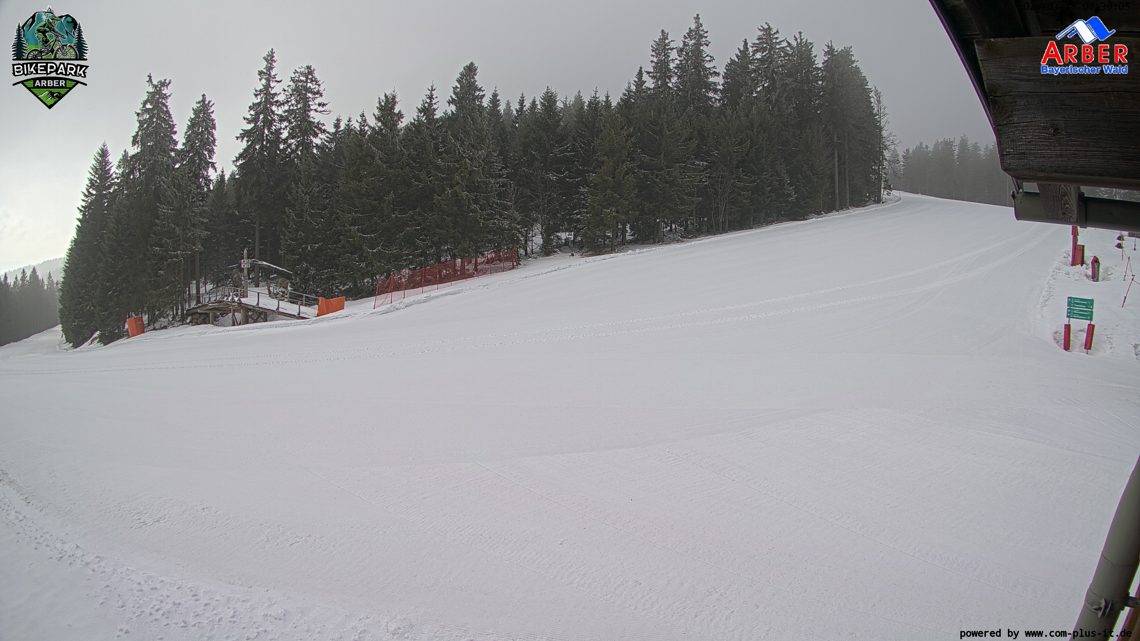 Archiv Foto Webcam ArBär Kinderland des Skigebiets am Arber