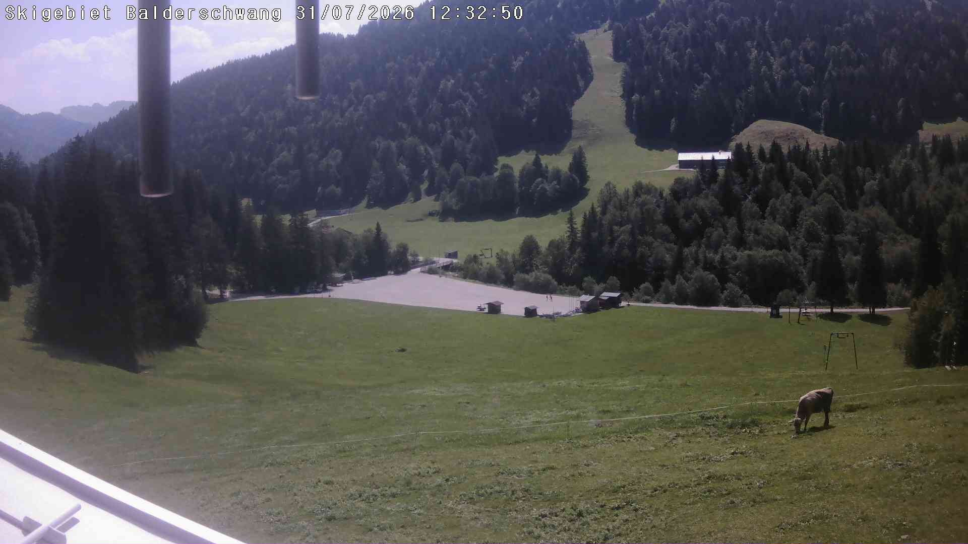 Archiv Foto Webcam Hochschelpen bei Balderschwang