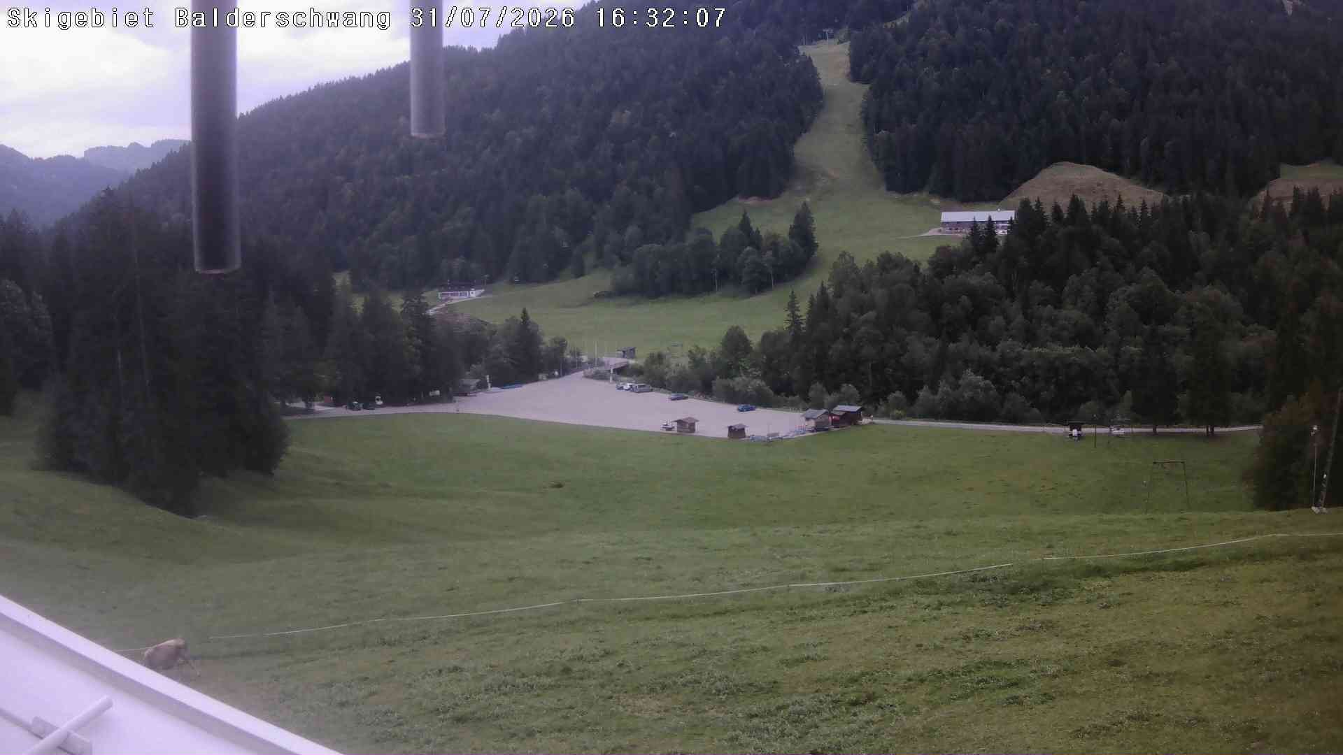 Archiv Foto Webcam Hochschelpen bei Balderschwang