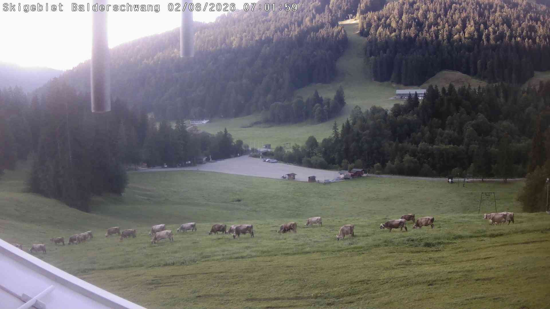 Archiv Foto Webcam Hochschelpen bei Balderschwang