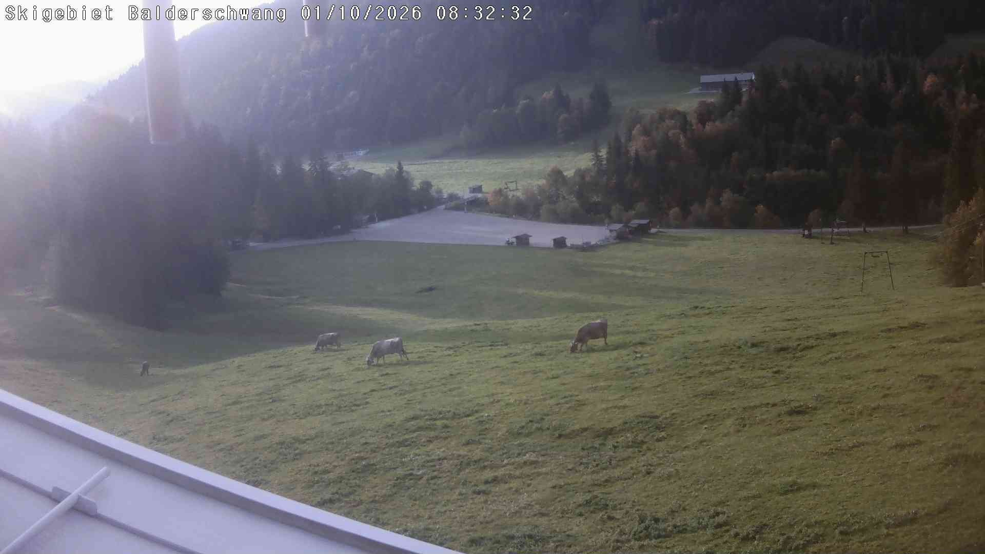 Archiv Foto Webcam Hochschelpen bei Balderschwang