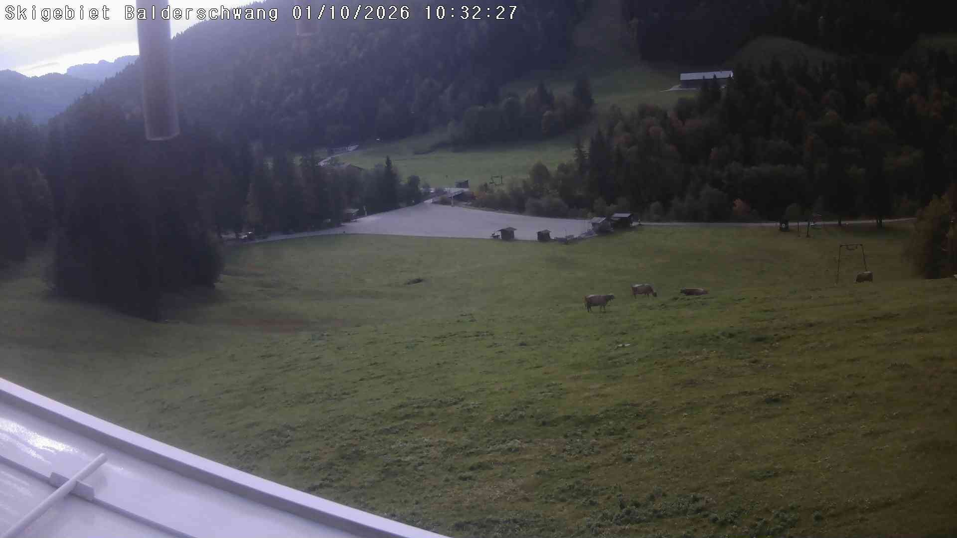 Archiv Foto Webcam Hochschelpen bei Balderschwang