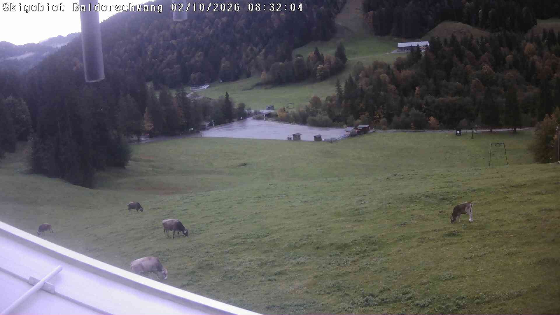 Archiv Foto Webcam Hochschelpen bei Balderschwang