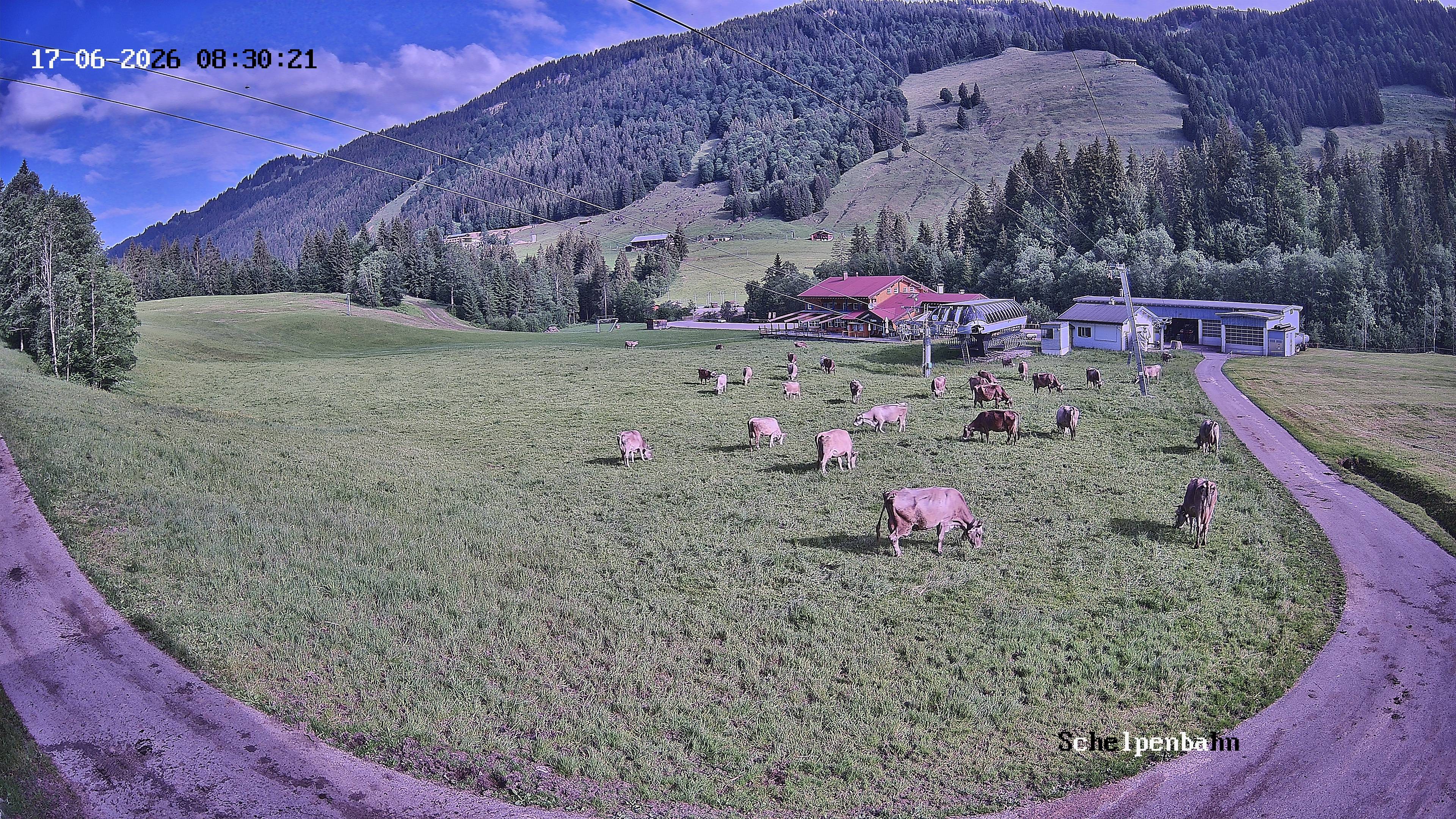 Archiv Foto Webcam Balderschwang, Allgäu