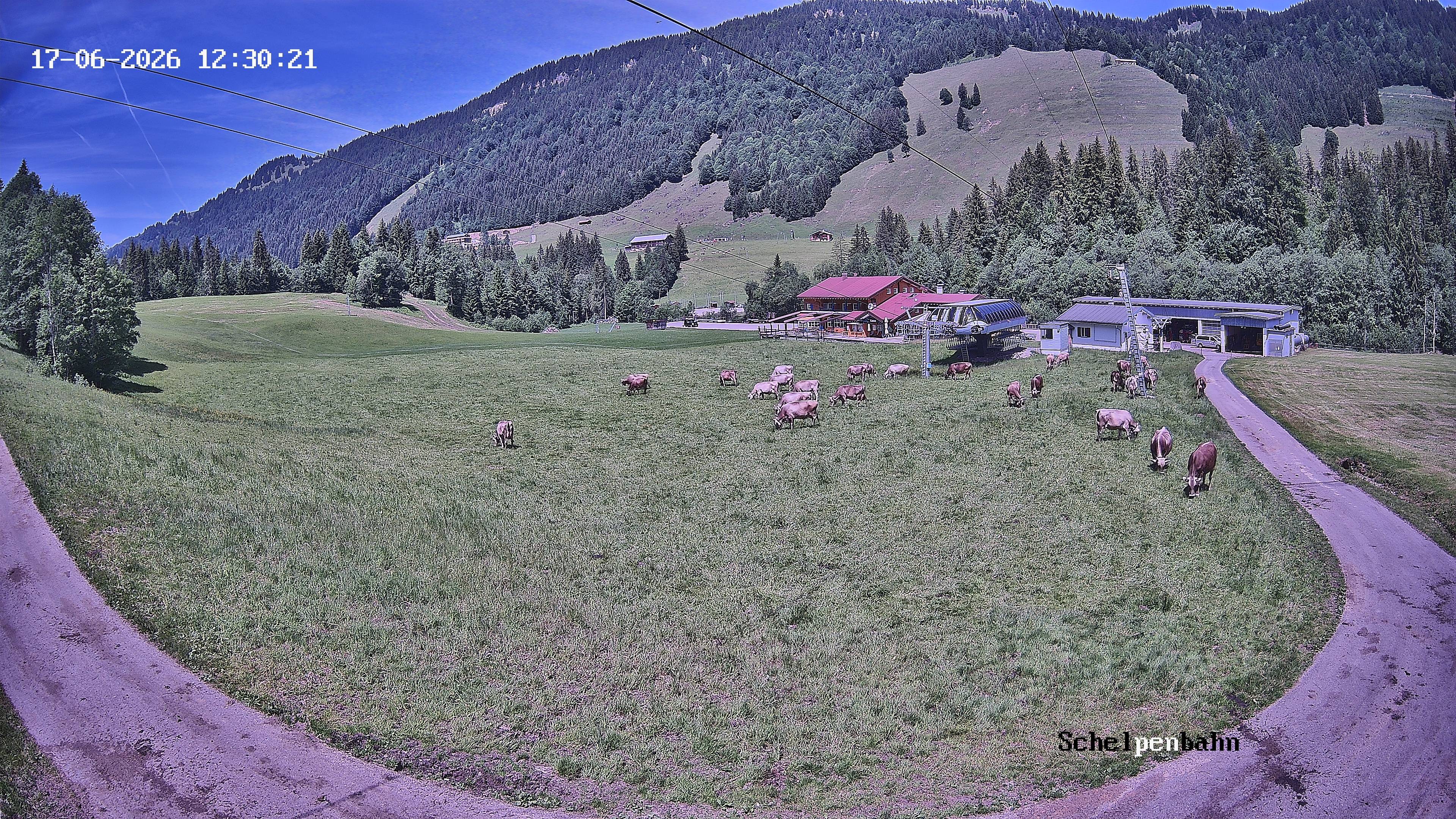 Archiv Foto Webcam Balderschwang, Allgäu