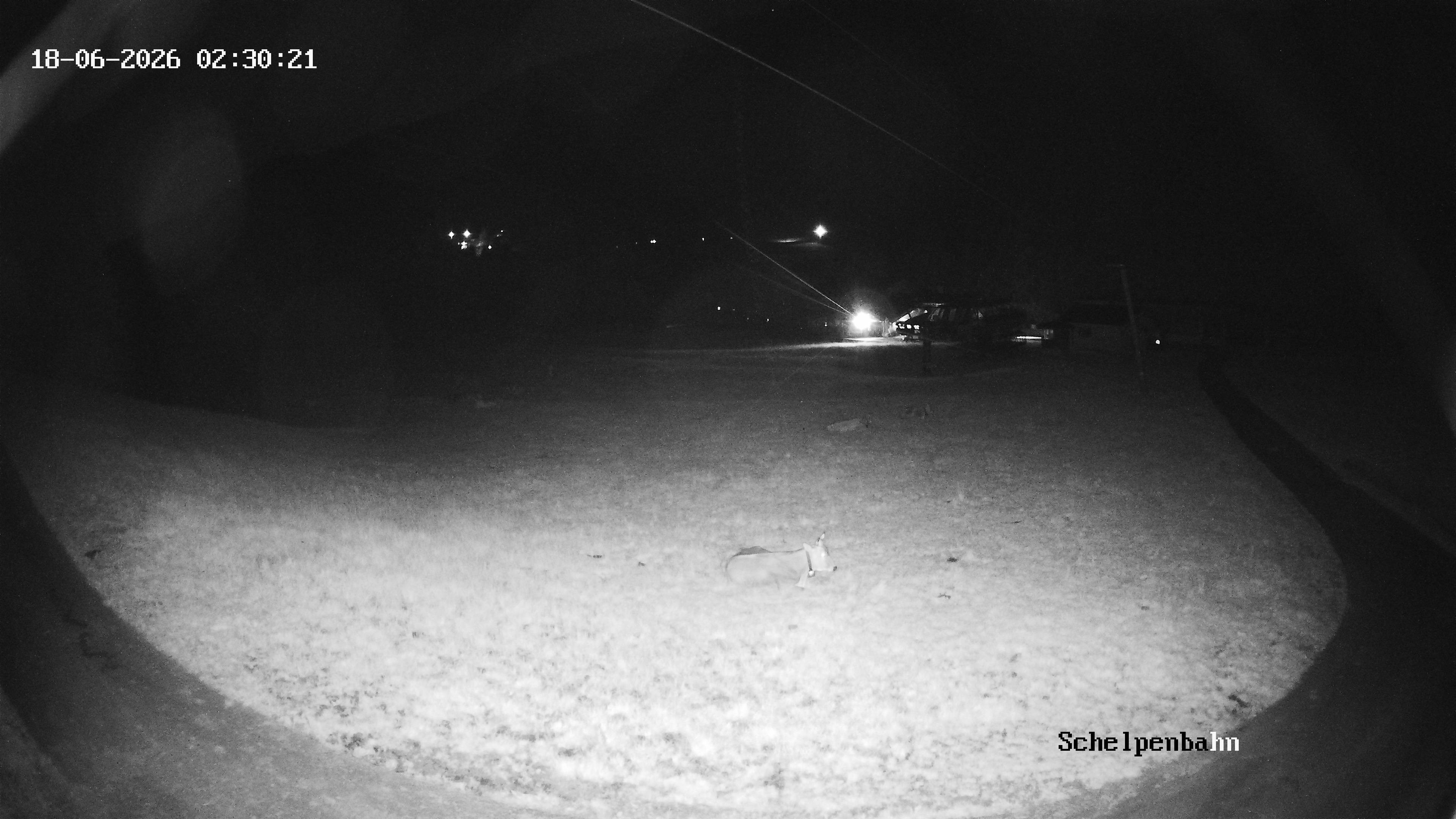 Archived image Webcam Balderschwang (Allgäu)