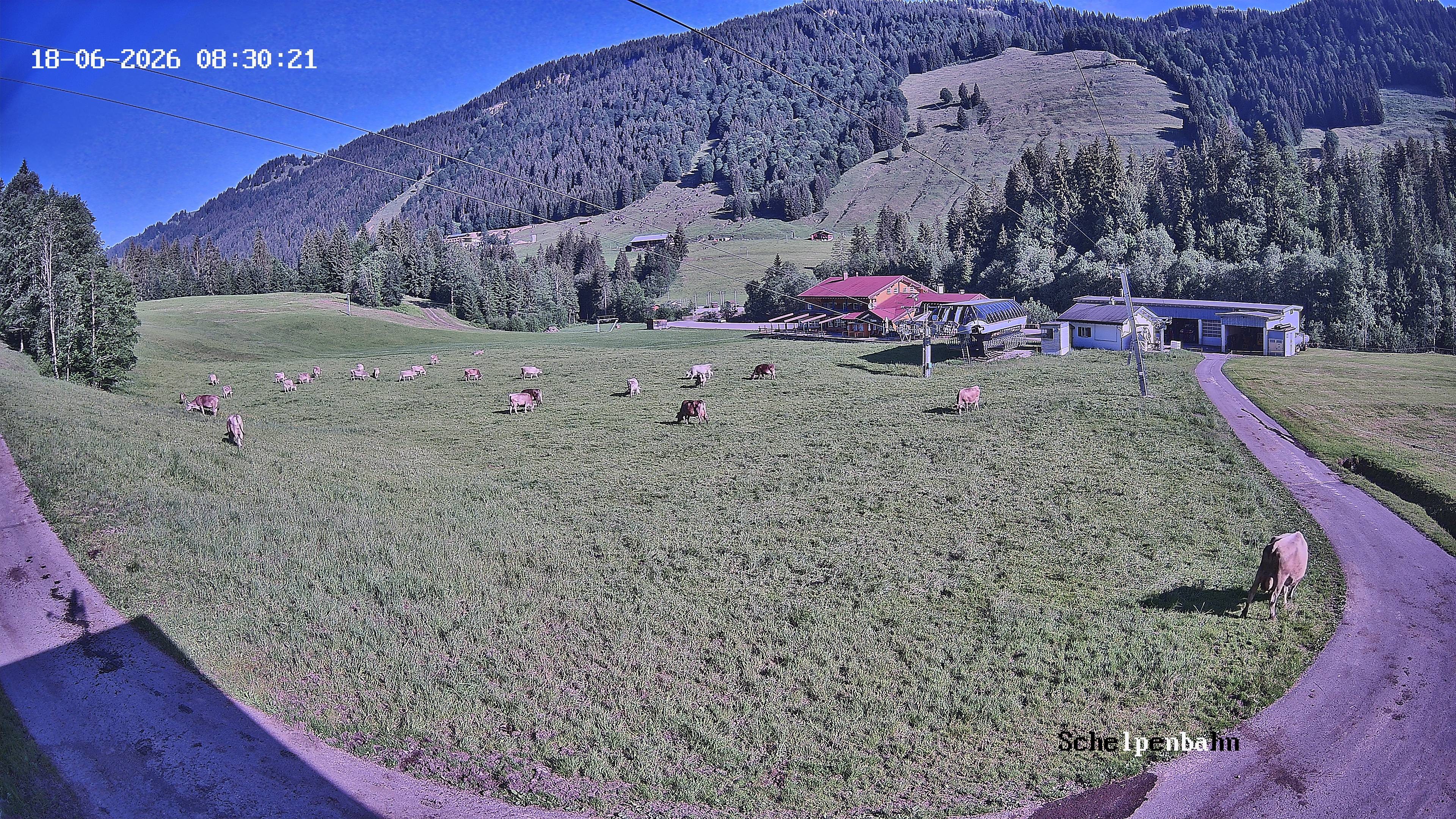 Archived image Webcam Balderschwang (Allgäu)