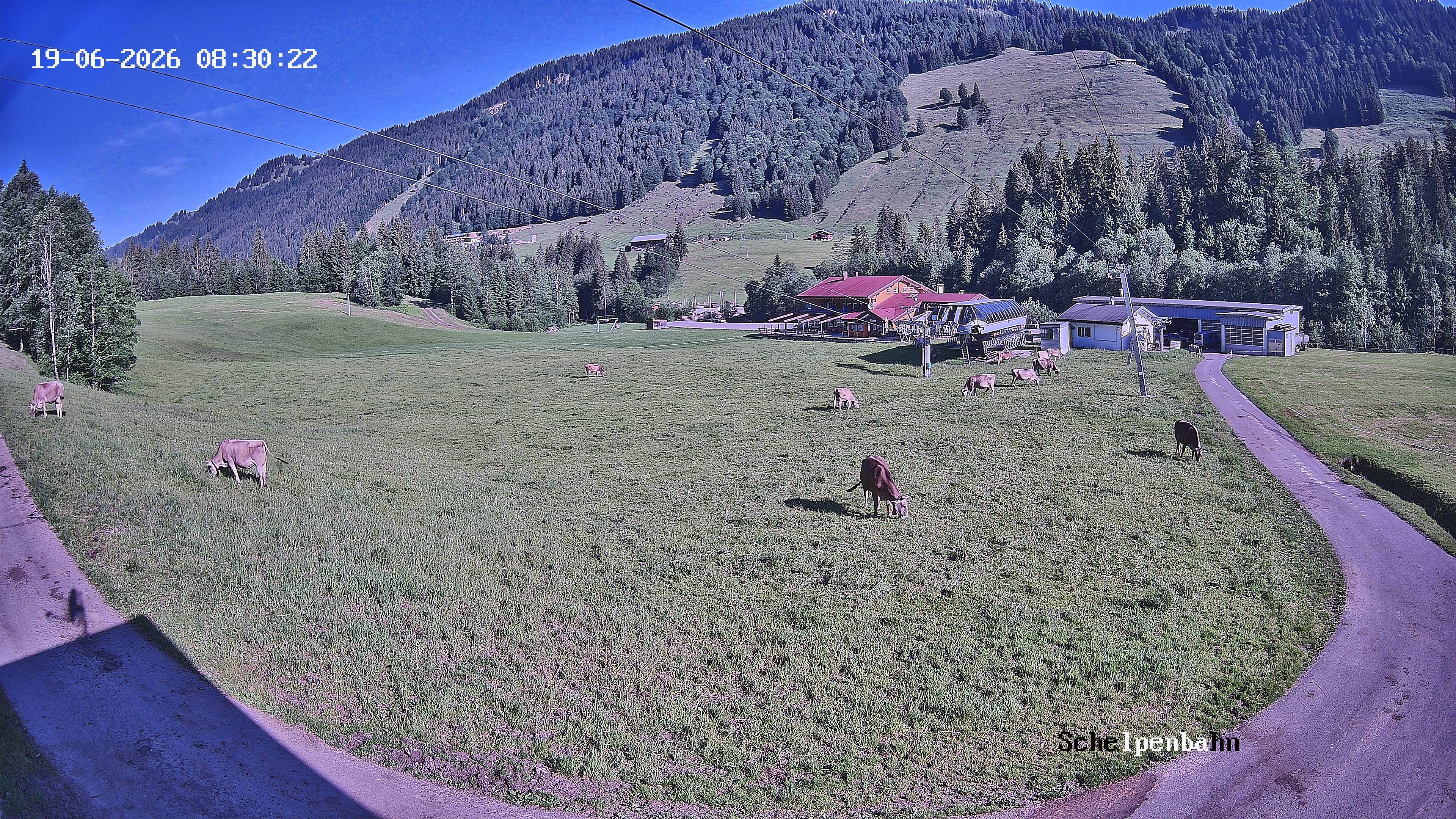 Archived image Webcam Balderschwang (Allgäu)