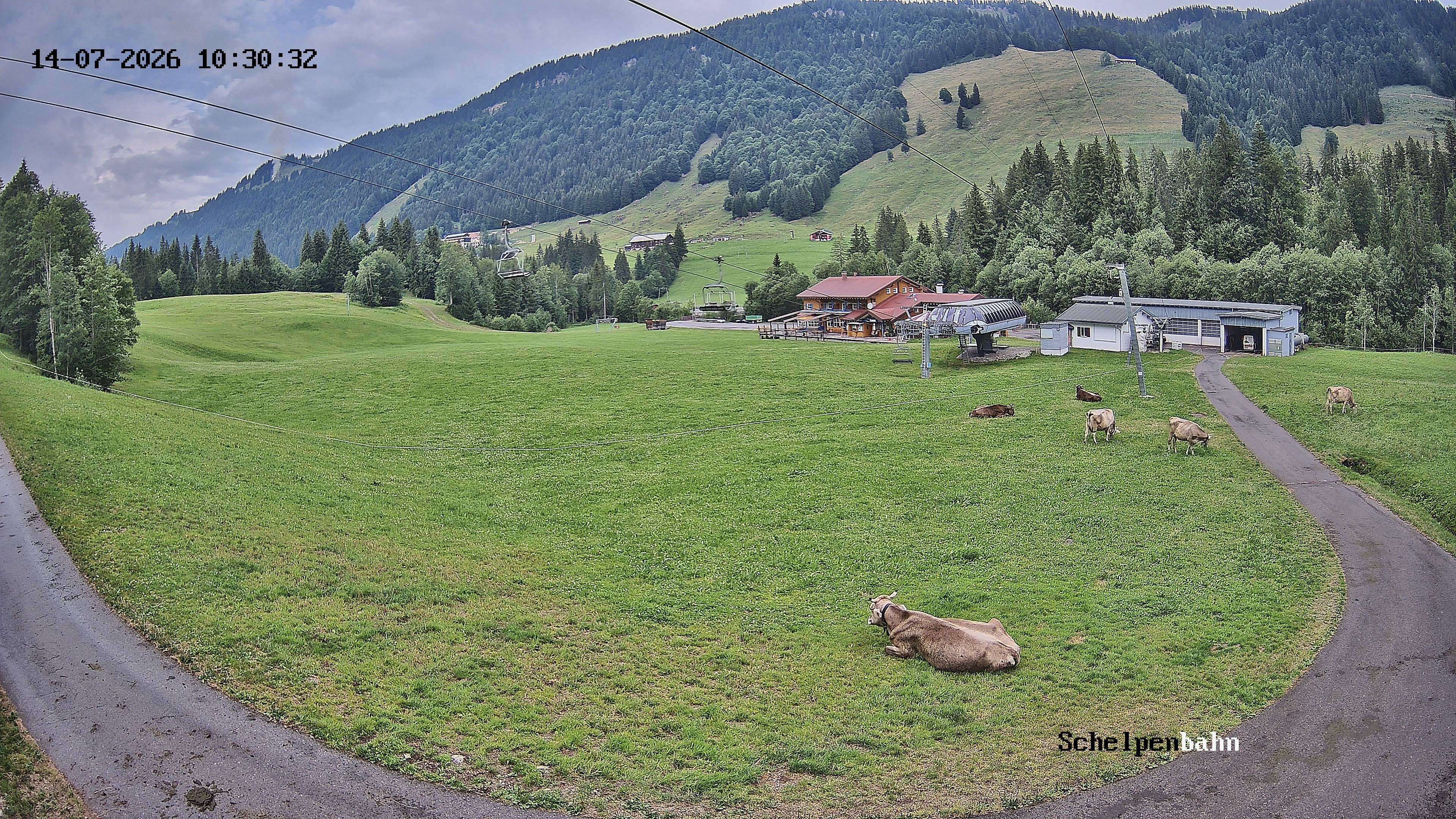 Archived image Webcam Balderschwang (Allgäu)
