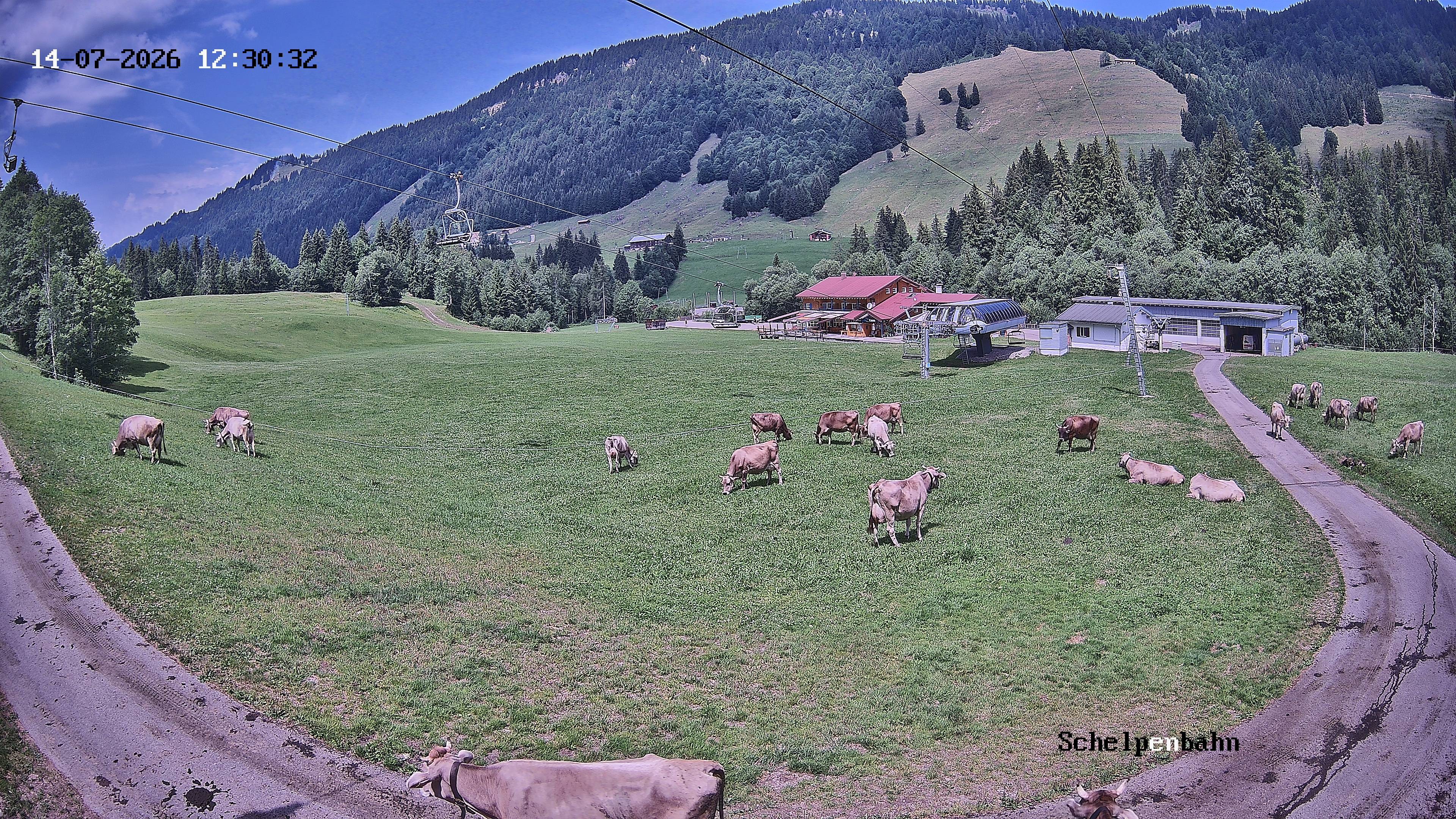 Archived image Webcam Balderschwang (Allgäu)