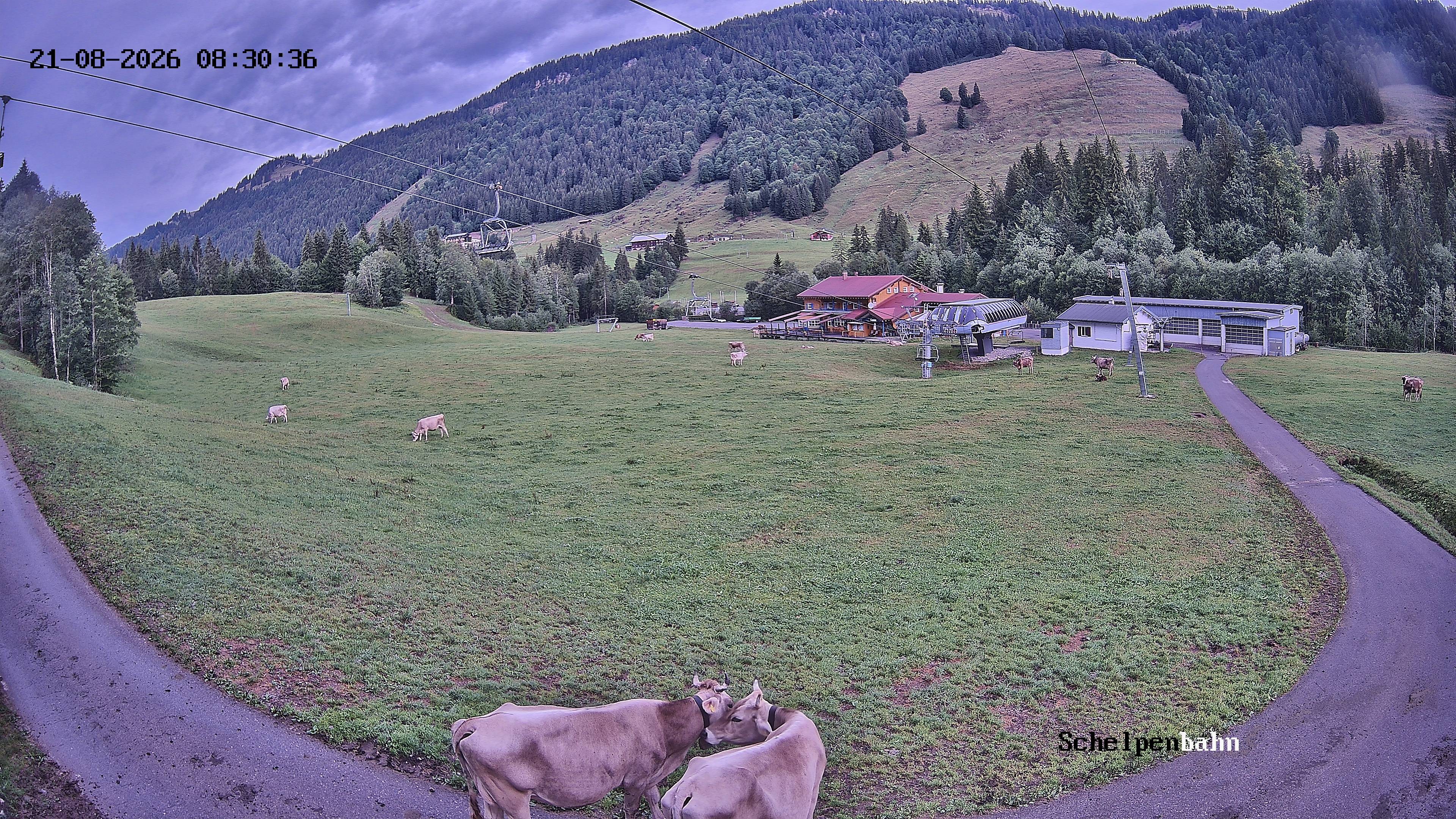 Archiv Foto Webcam Balderschwang, Allgäu
