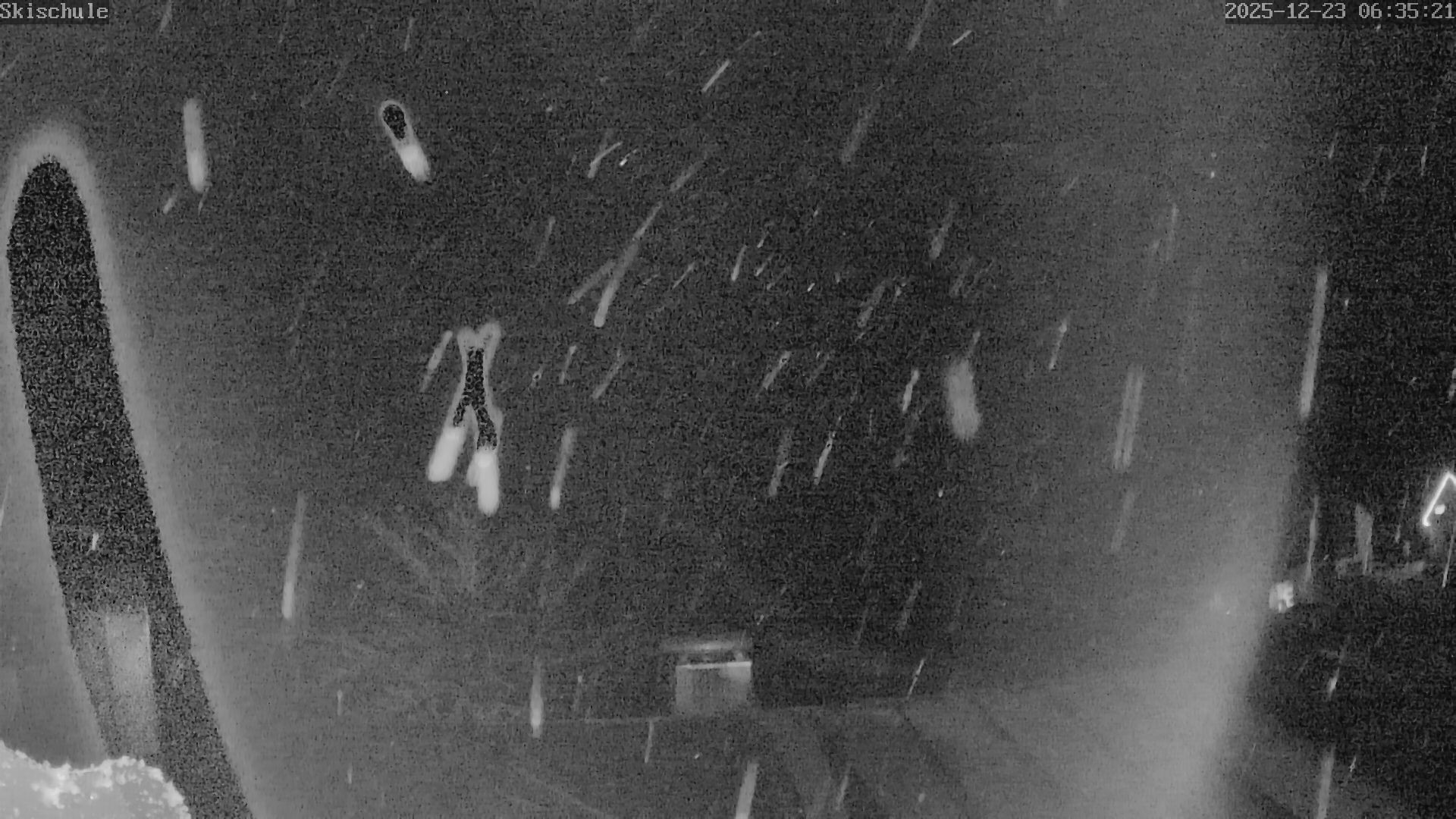 Archiv Foto Webcam Streidlhang, Brauneck