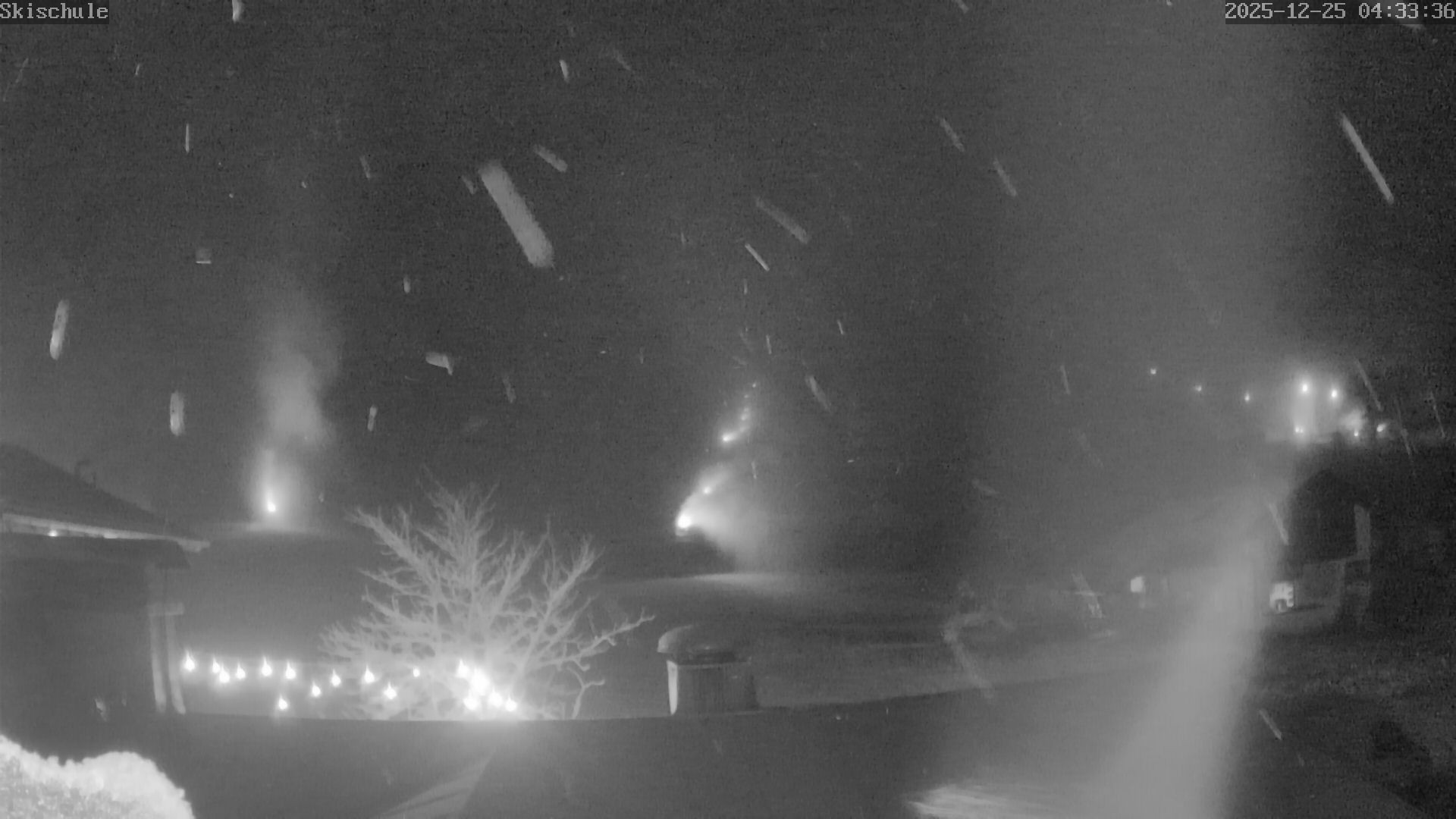 Archiv Foto Webcam Streidlhang, Brauneck