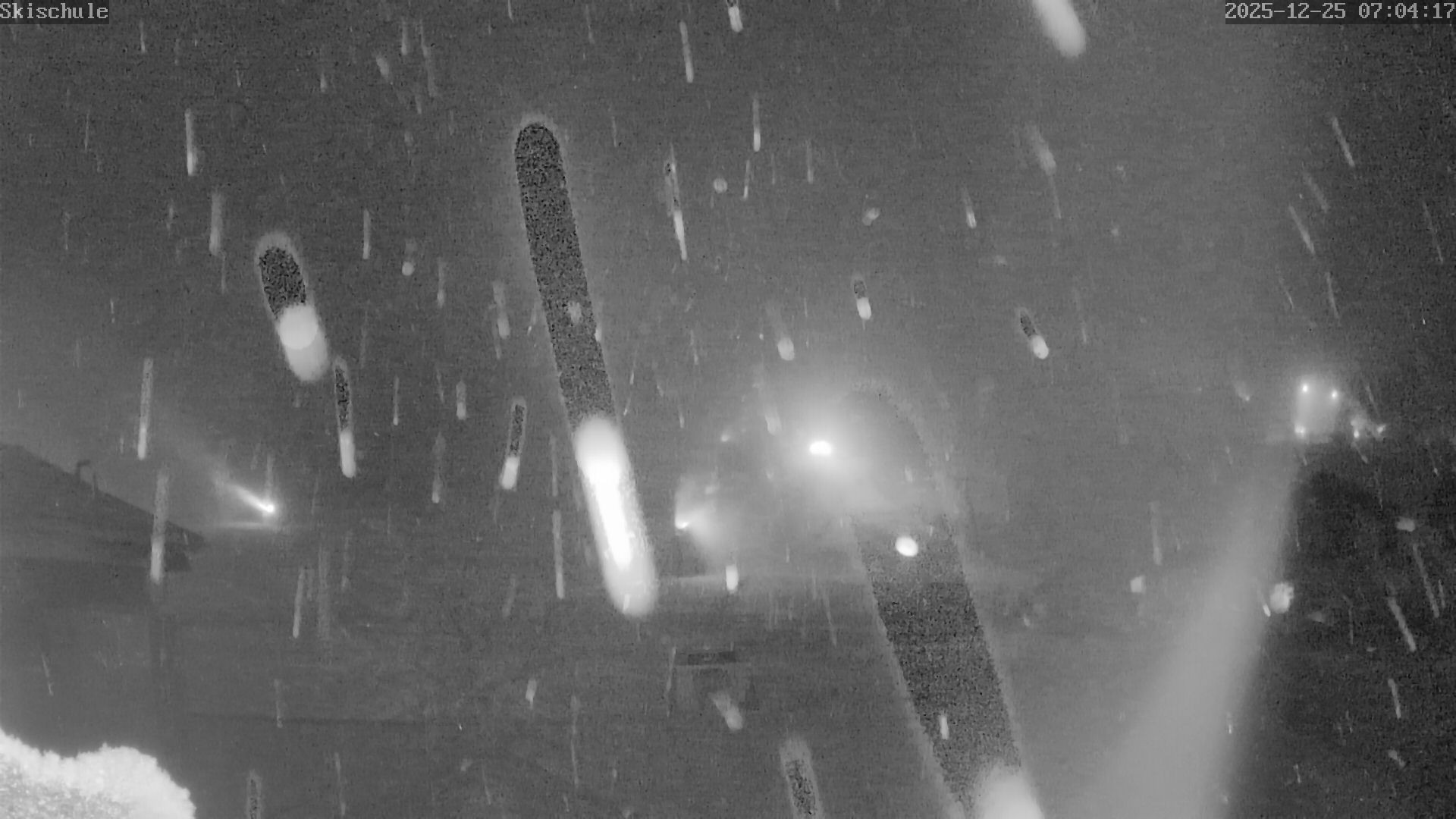 Archiv Foto Webcam Streidlhang, Brauneck