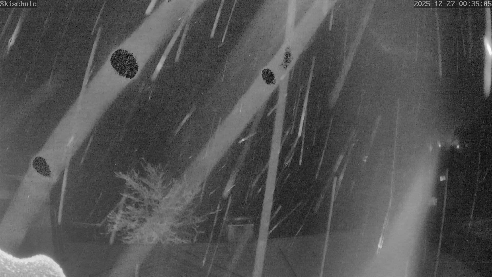 Archiv Foto Webcam Streidlhang, Brauneck